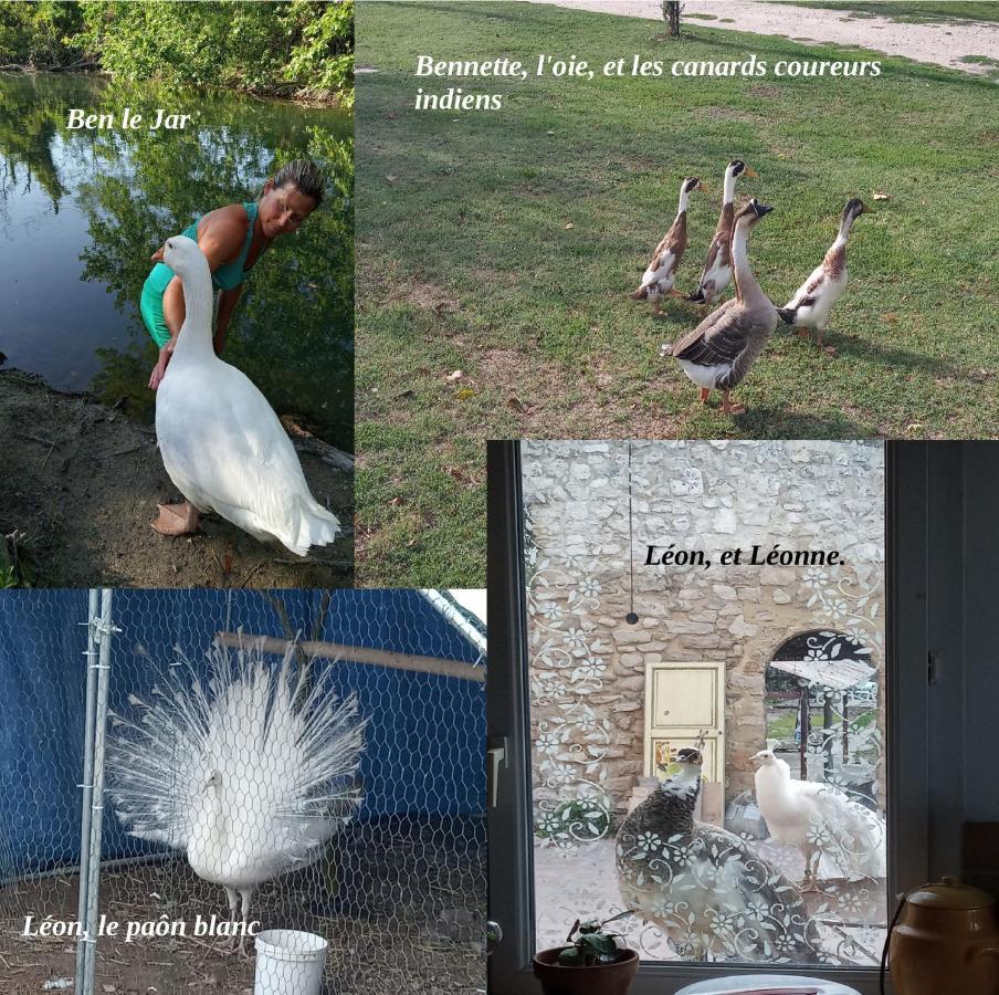 Le Mas De La Jardine Velleron Dış mekan fotoğraf