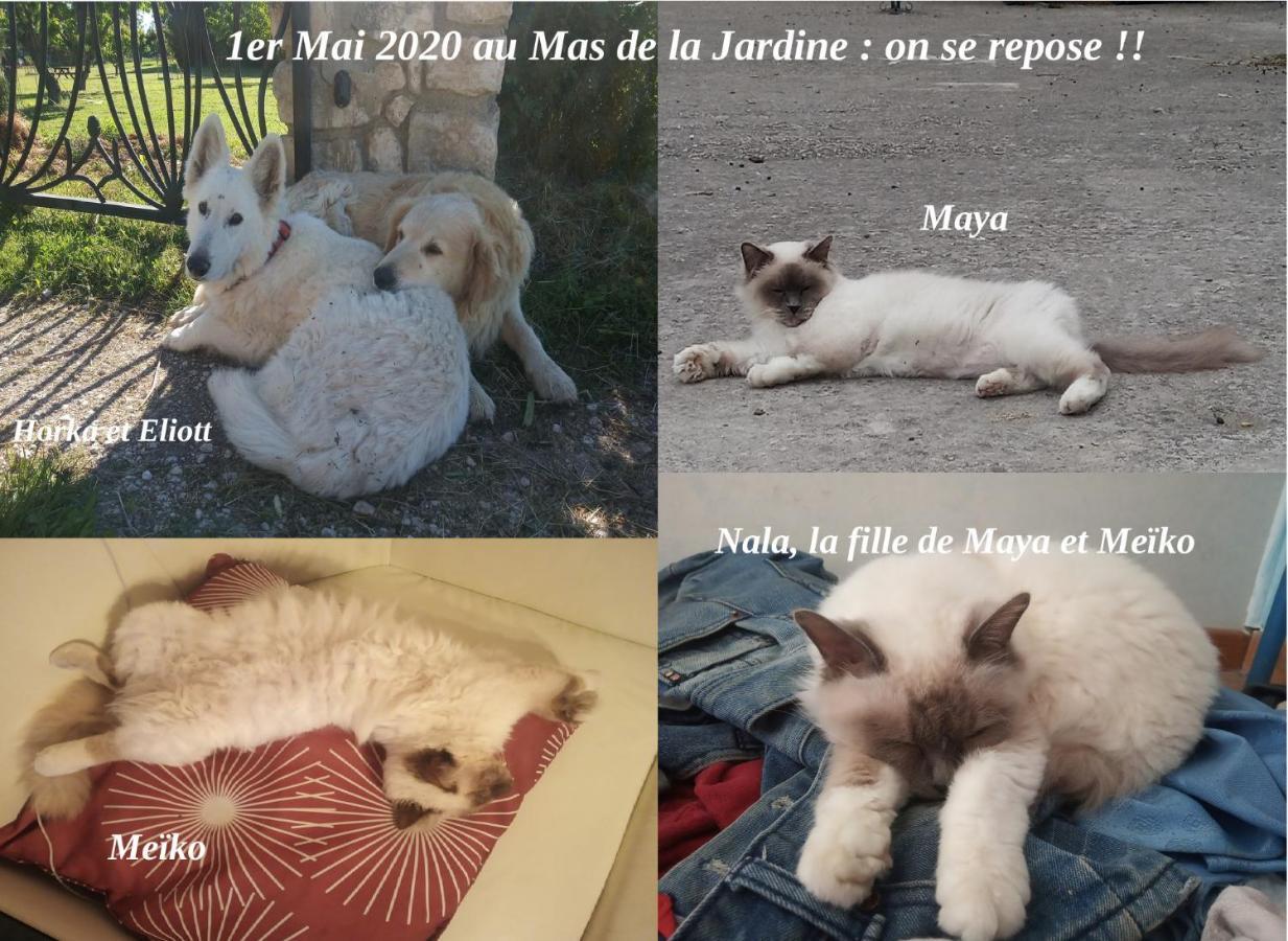 Le Mas De La Jardine Velleron Dış mekan fotoğraf