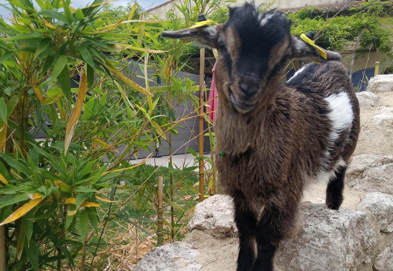 Le Mas De La Jardine Velleron Dış mekan fotoğraf