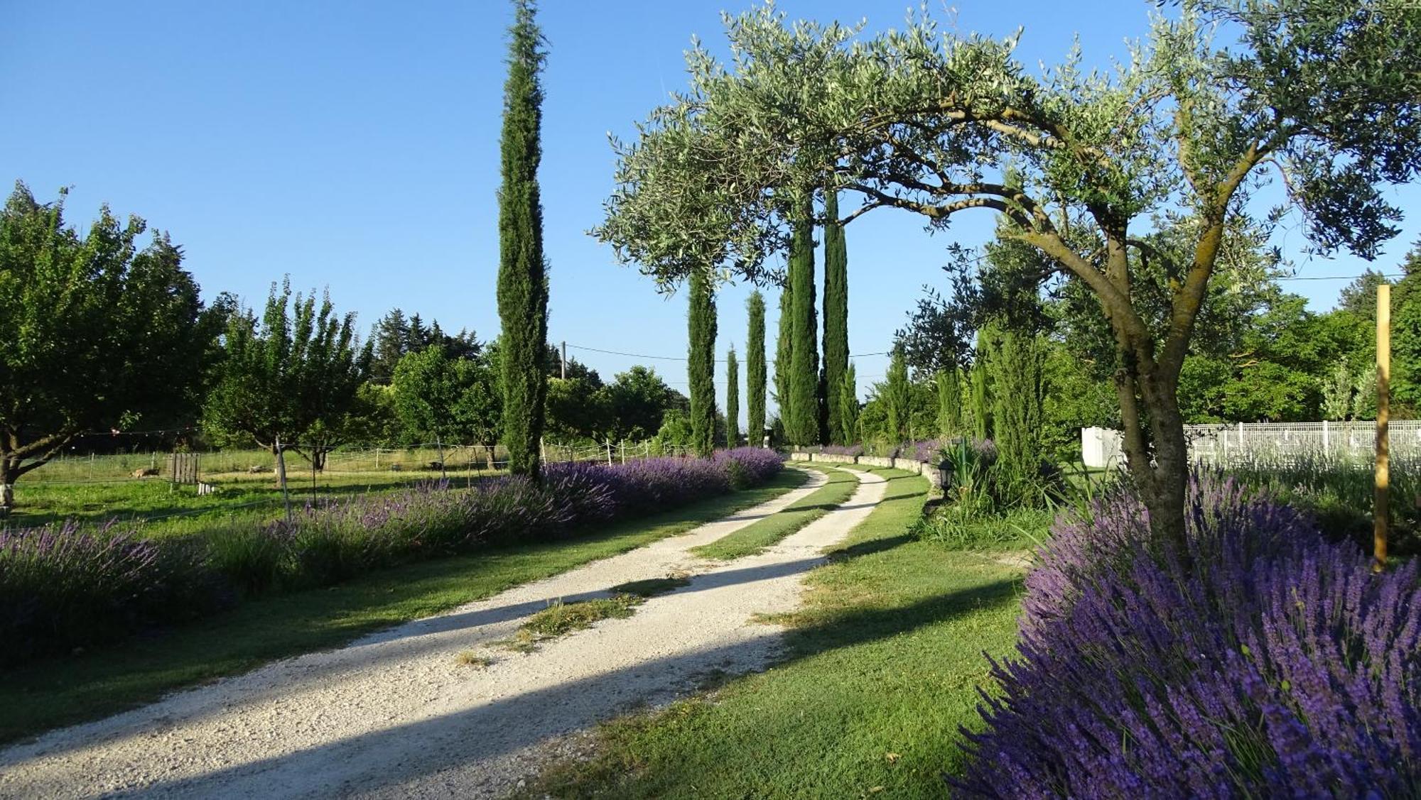 Le Mas De La Jardine Velleron Dış mekan fotoğraf