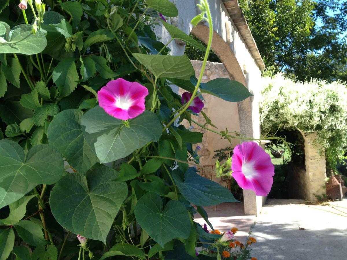 Le Mas De La Jardine Velleron Dış mekan fotoğraf