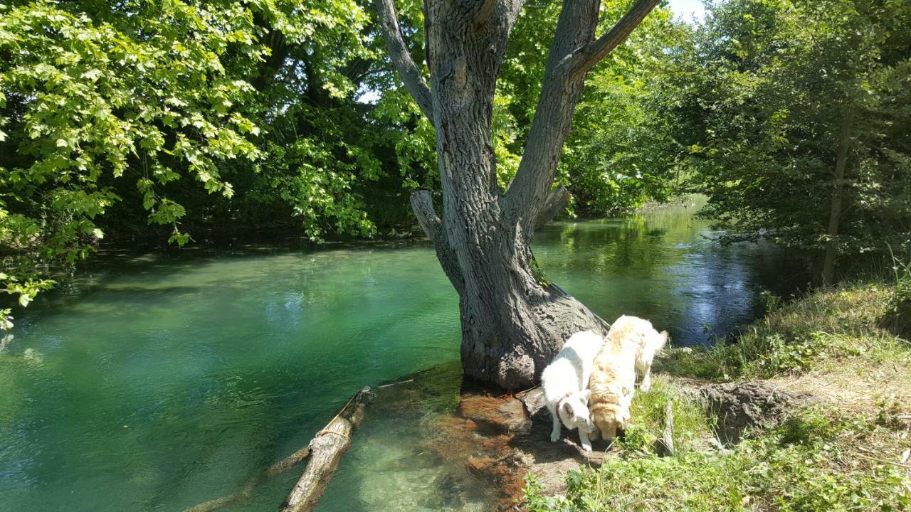 Le Mas De La Jardine Velleron Dış mekan fotoğraf