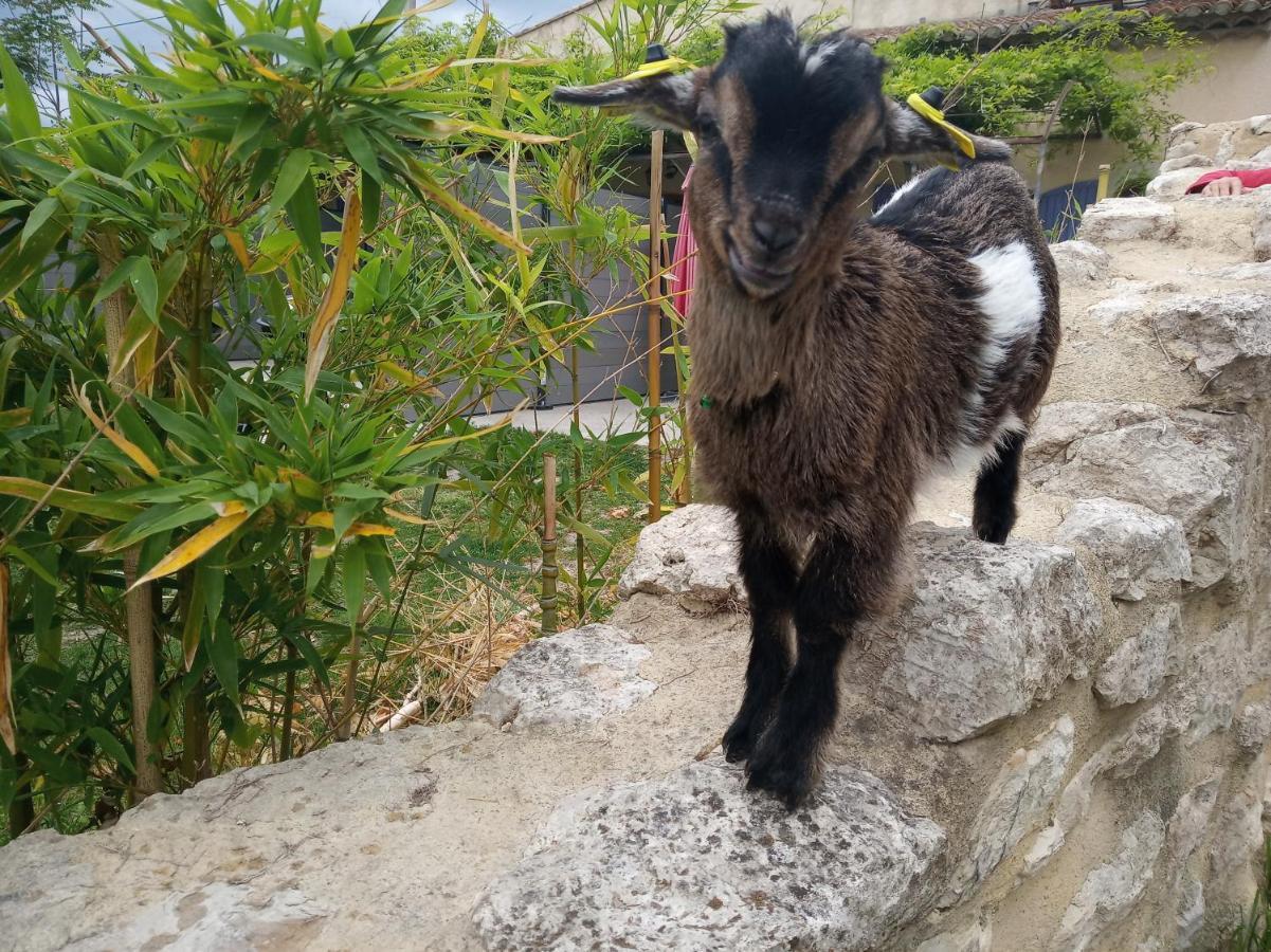 Le Mas De La Jardine Velleron Dış mekan fotoğraf